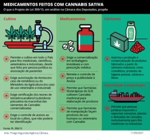 Comissão da Câmara dos Deputados aprova proposta para legalizar cultivo de Cannabis para fins medicinais 