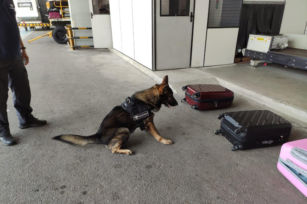 Duas pessoas são presas com 17 kg de drogas em malas no aeroporto de Fortaleza