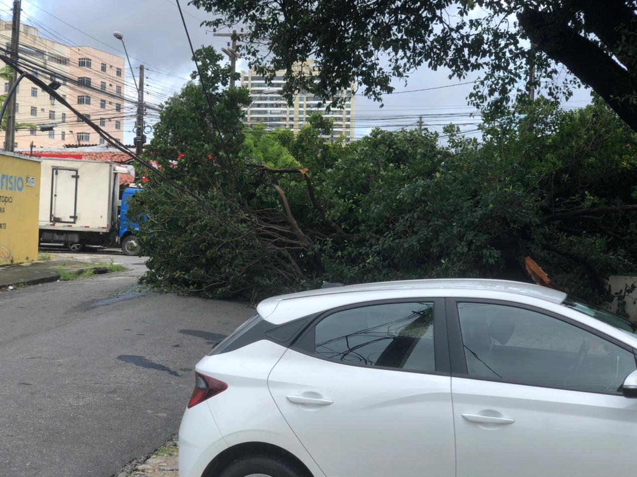 Tempestade derruba postes, árvores e gera diversos transtornos em Fortaleza