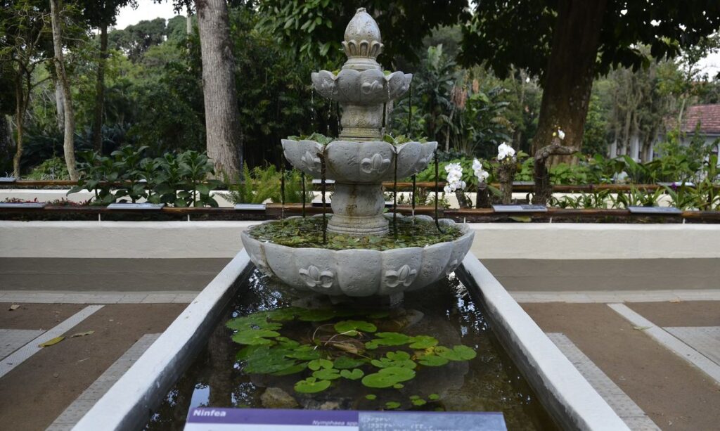 Jardim Botânico do Rio reajusta valores de ingressos