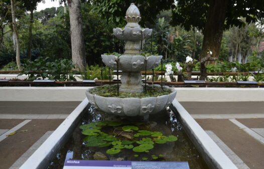 Jardim Botânico do Rio reajusta valores de ingressos