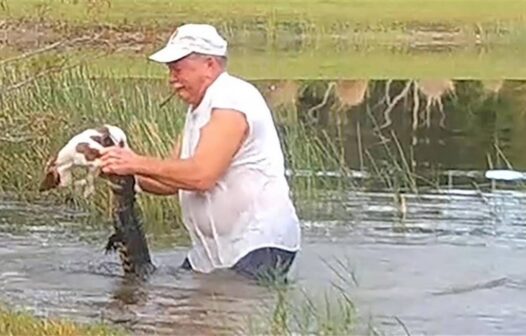 Homem tira cachorro da boca do jacaré nos Estados Unidos