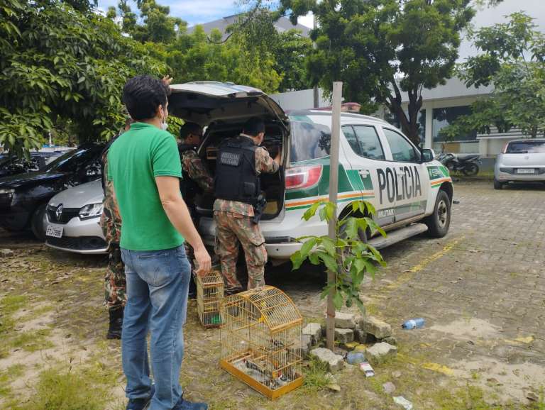 Operação policial apreende animais silvestres em feiras livres de Fortaleza e Maracanaú