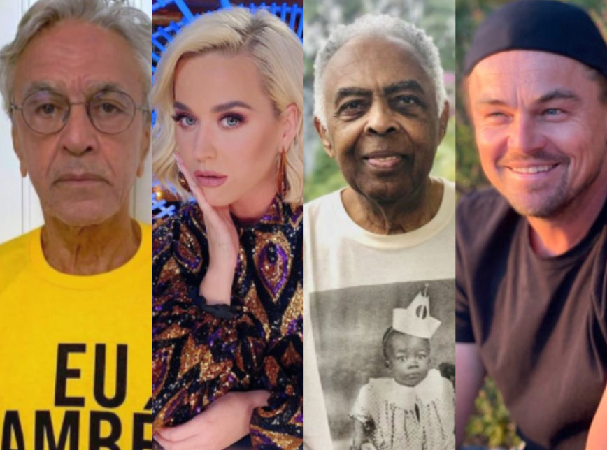 Katy Perry, Caetano Veloso e outros artistas se unem em manifesto contra Bolsonaro