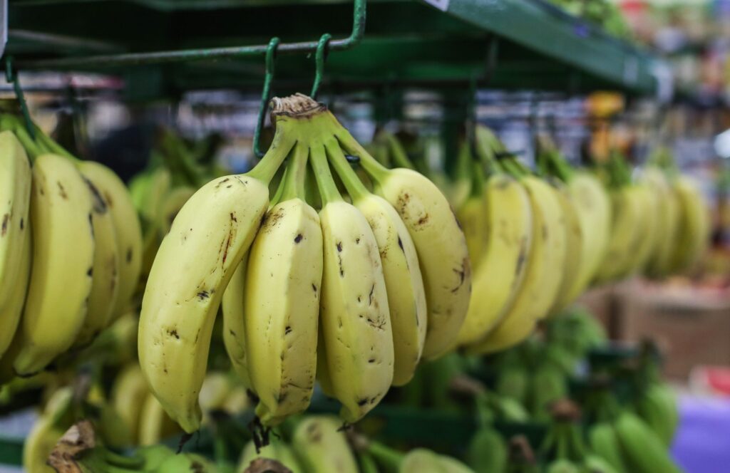 Preço do quilo da banana pode ter diferença de 222% em Fortaleza; confira os preços