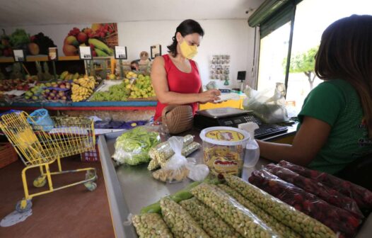 Auxílio Cesta Básica: primeiro lote de beneficiários já está disponível para consulta