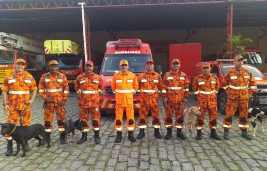 Bombeiros e cães farejadores cearenses retornam após missão em Pernambuco