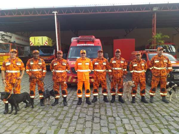 Bombeiros e cães farejadores cearenses retornam após missão em Pernambuco