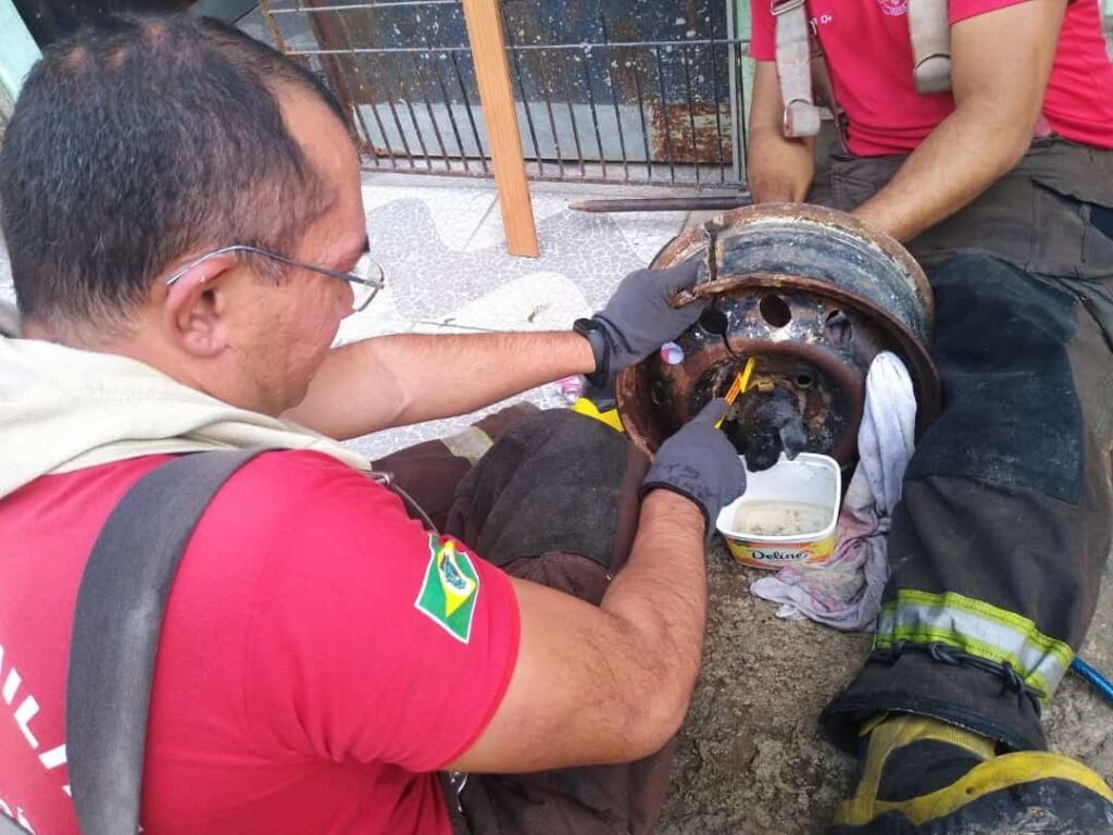 Bombeiros salvam cachorro que ficou enganchado em aro de pneu em Fortaleza