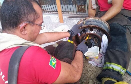 Bombeiros salvam cachorro que ficou enganchado em aro de pneu em Fortaleza