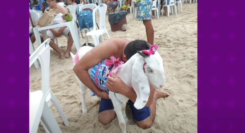 Cabra Jane Kelly ganha as redes sociais após usar um cropped e reagir