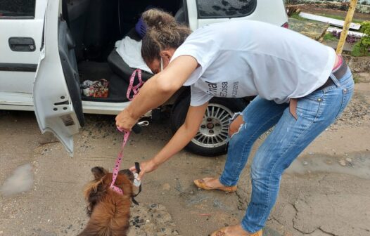 Cachorro procura por dono que morreu em hospital de Fortaleza