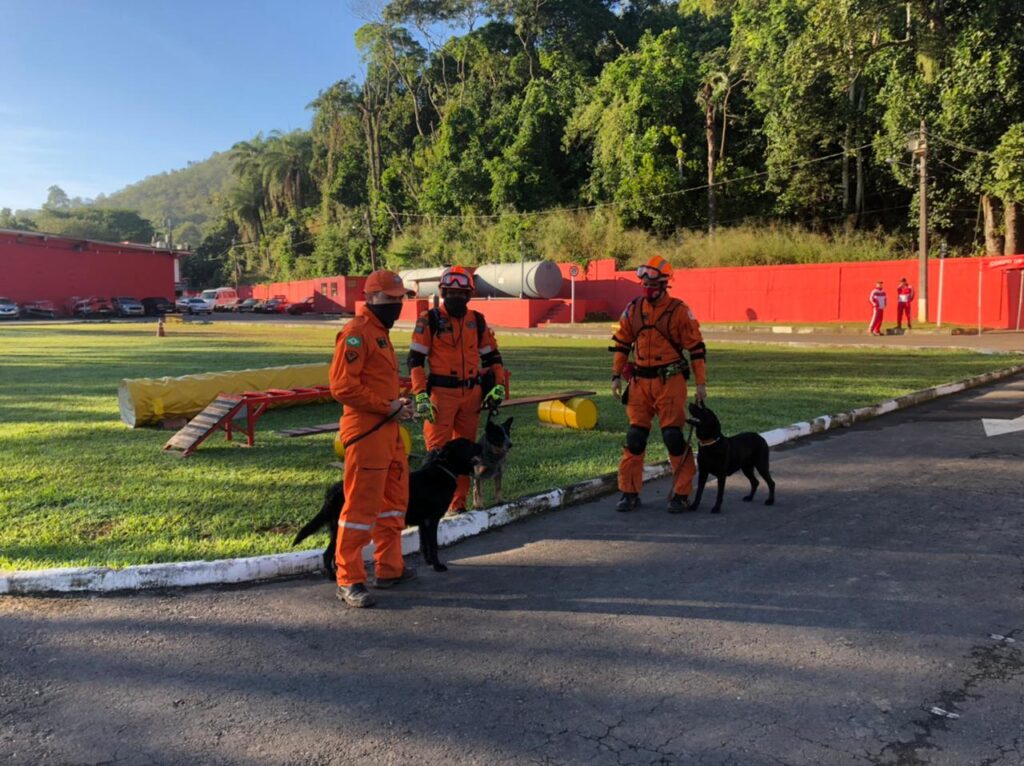 Heróis de quatro patas: cães do Ceará trabalham em ações de resgate e salvamento no País