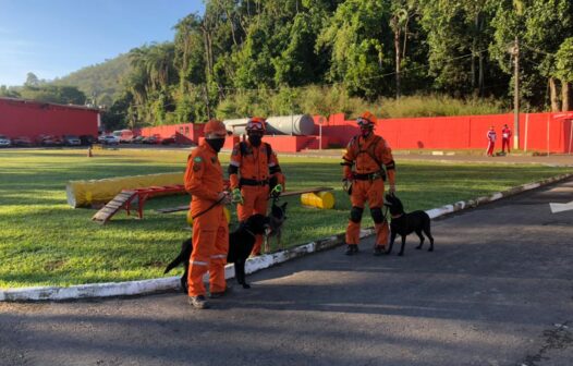 Heróis de quatro patas: cães do Ceará trabalham em ações de resgate e salvamento no País