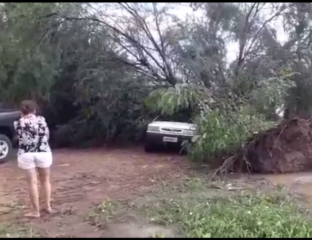 Chuva de granizo provaca destruição em Campos Sales