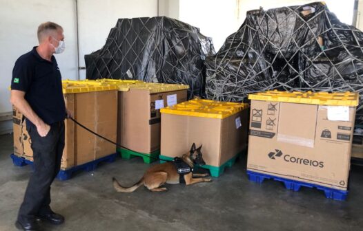 Cão farejador encontra 7 kg de maconha em pacote numa agência dos Correios em Fortaleza