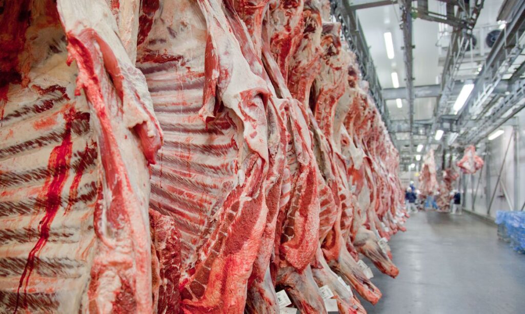 Brasileiro faz menor consumo de carne bovina em 26 anos