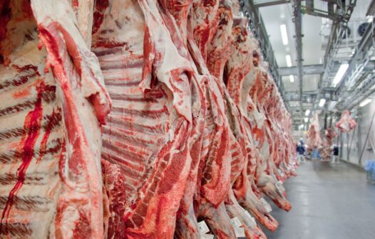 Carne bovina pode ficar mais barata no primeiro semestre de 2021