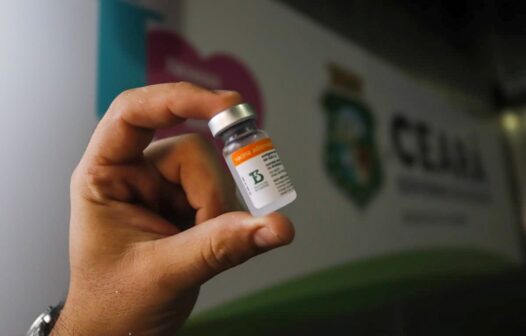 Ceará recebe 290.920 doses das vacinas da Pfizer e CoronaVac neste sábado (14)