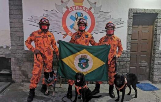 Cães de busca e resgate do Corpo de Bombeiros do Ceará são certificados para operações nacionais