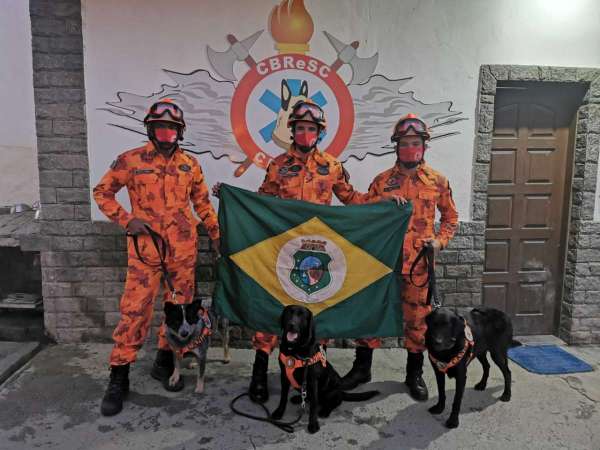 Cães de busca e resgate do Corpo de Bombeiros do Ceará são certificados para operações nacionais