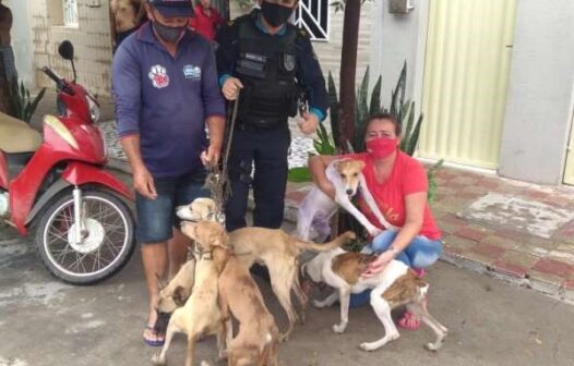 Cinco cachorros são resgatados de maus tratos em Icó