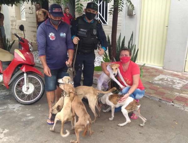 Cinco cachorros são resgatados de maus tratos em Icó - CE