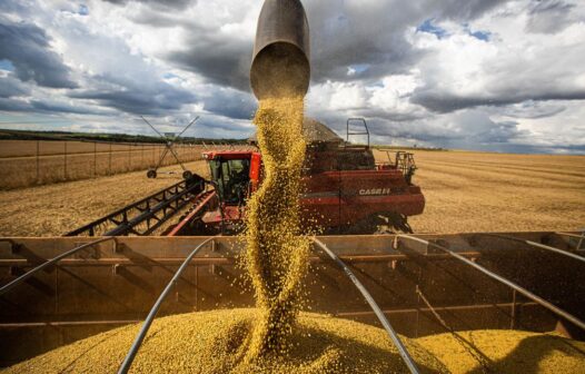 Produção agrícola deve atingir 269,3 milhões de toneladas, diz Conab
