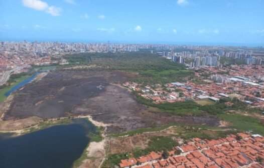 Pelo menos 46 hectares foram afetados pelo fogo no Parque do Cocó