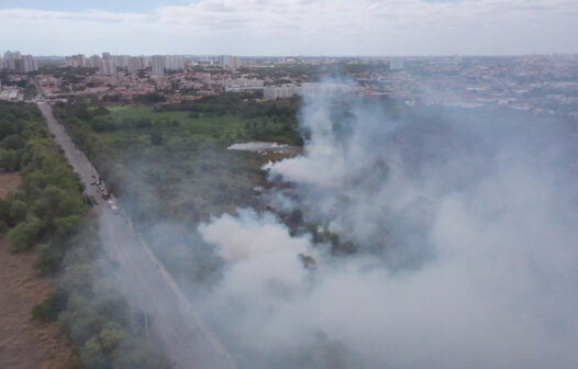 Incêndio no Parque do Cocó foi causado por fogos de artifícios do Clássico-Rei? Veja o que dizem os bombeiros