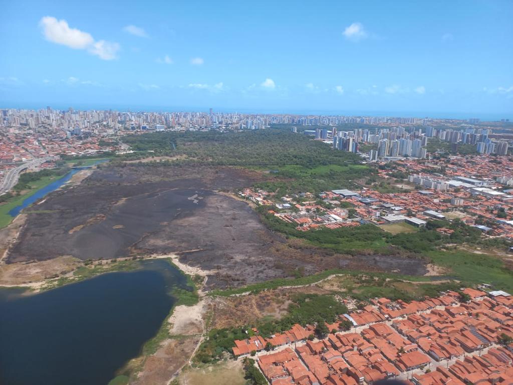 Pelo menos 46 hectares foram afetados pelo fogo no Parque do Cocó