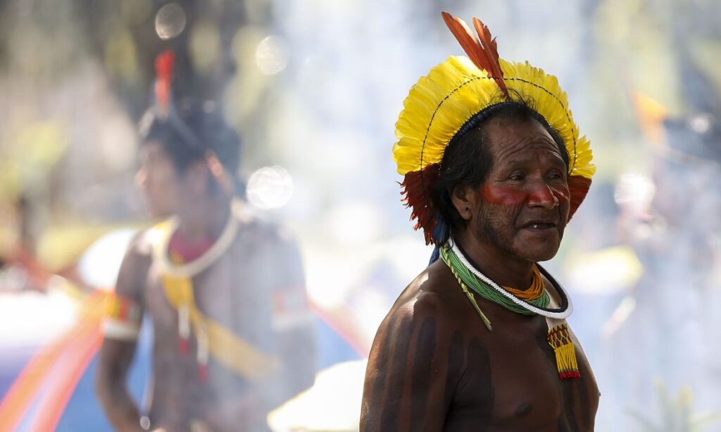 Comitê vai monitorar impactos da covid-19 sobre índios de Manaus