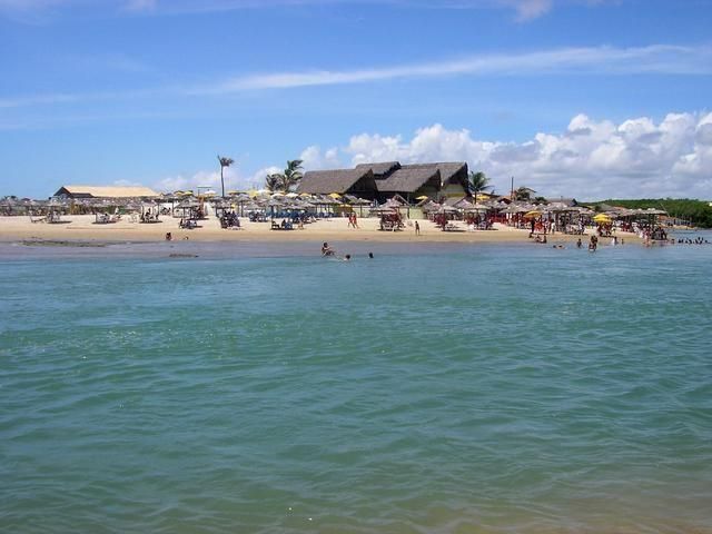 Estado e União realizam capacitação para preservação do meio ambiente marinho do Ceará