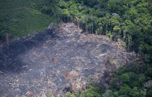 Desmatamento na Amazônia atinge pior índice da série histórica em abril de 2021