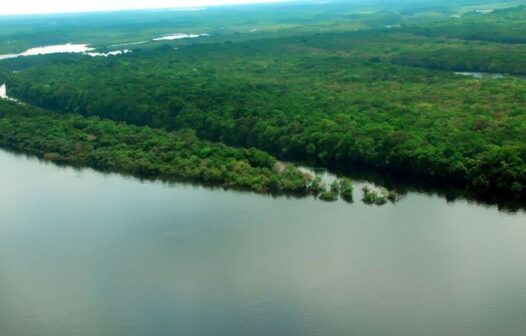 Desmatamento na Amazônia é o menor em 4 anos, diz governo