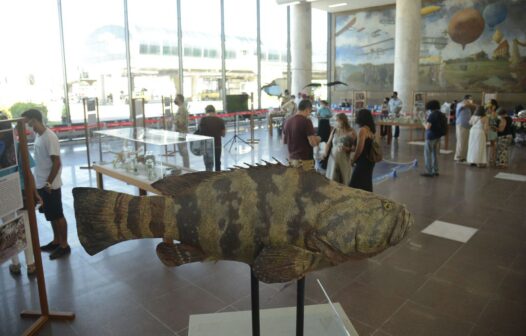 Aeroporto Santos Dumont, no Rio, recebe exposição do Museu Nacional