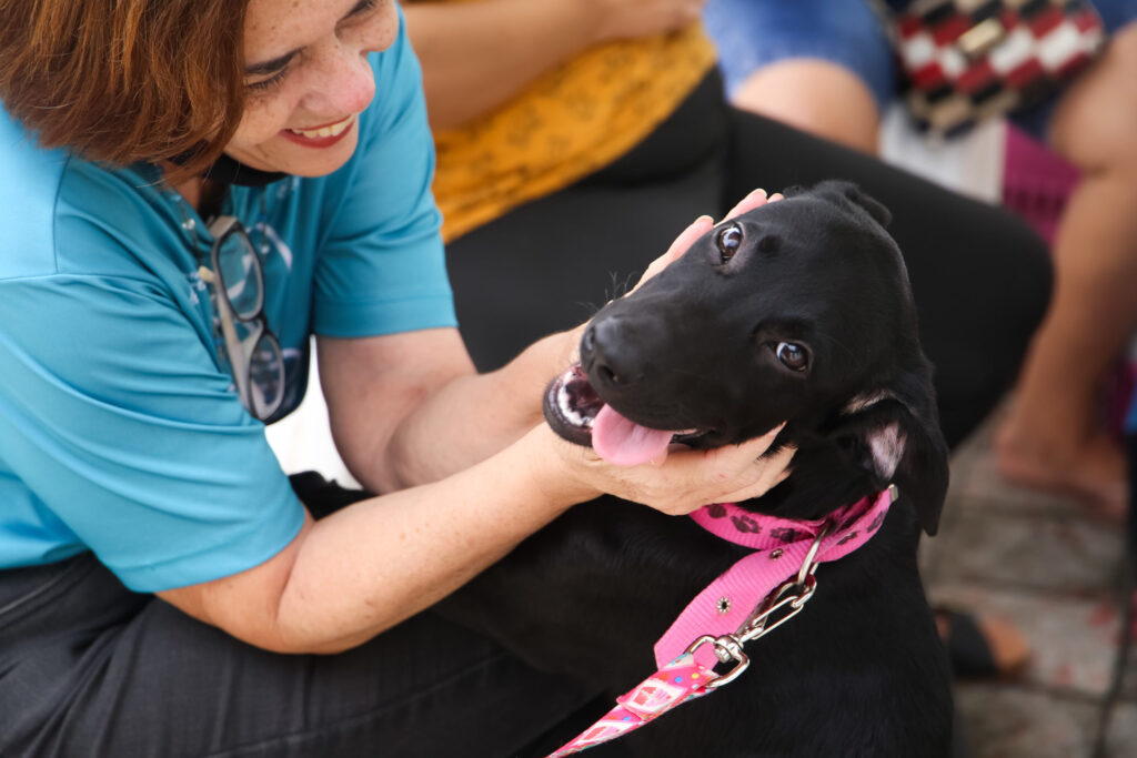 Fortaleza é referência em estabelecimentos Pet Friendly