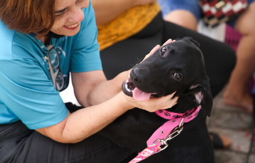 Fortaleza é referência em estabelecimentos Pet Friendly