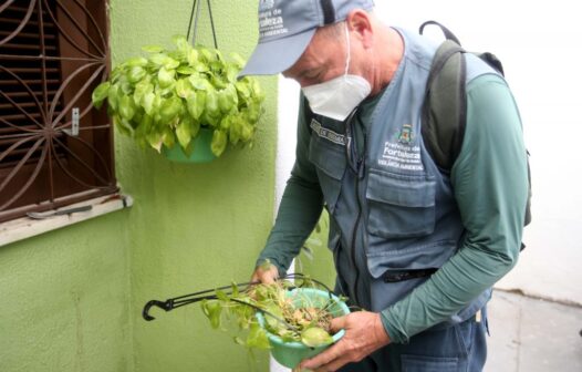 Fortaleza registra mais de 6 mil casos de chikungunya em 2022