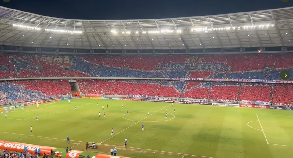 Torcida do Fortaleza exibe mosaico permanente durante o jogo de estreia da Copa Libertadores da América