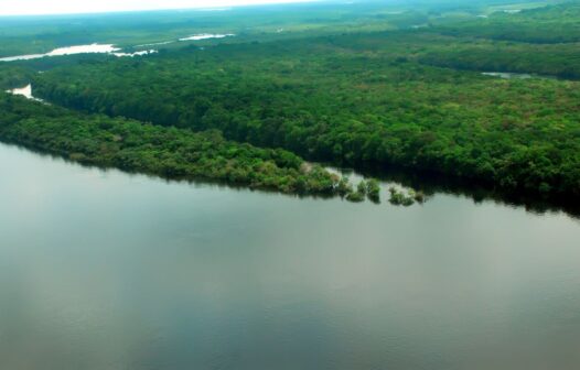 Governo lança operação contra o desmatamento na Amazônia