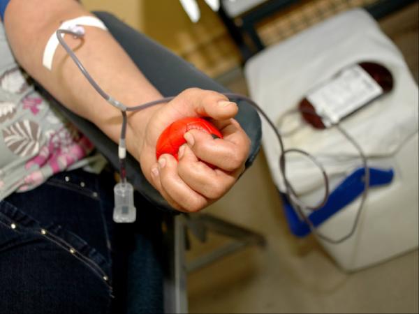 Hemoce realiza campanha “Jovem Doador” para incentivo à doação de sangue