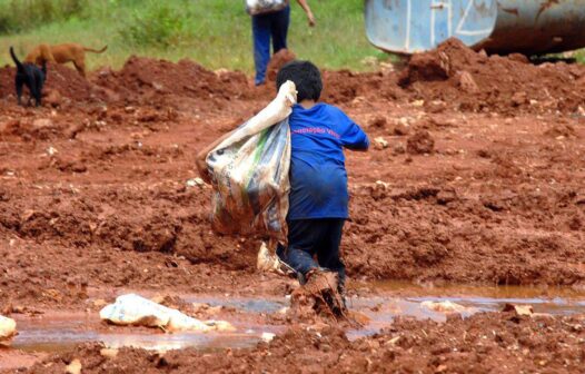 Ceará registra 139 casos de trabalho infantil em 2021