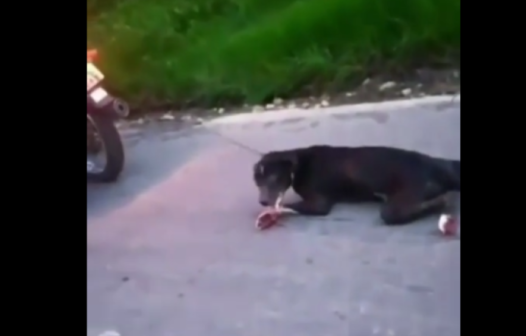 Idoso é preso por arrastar cachorro em motocicleta no interior do Ceará