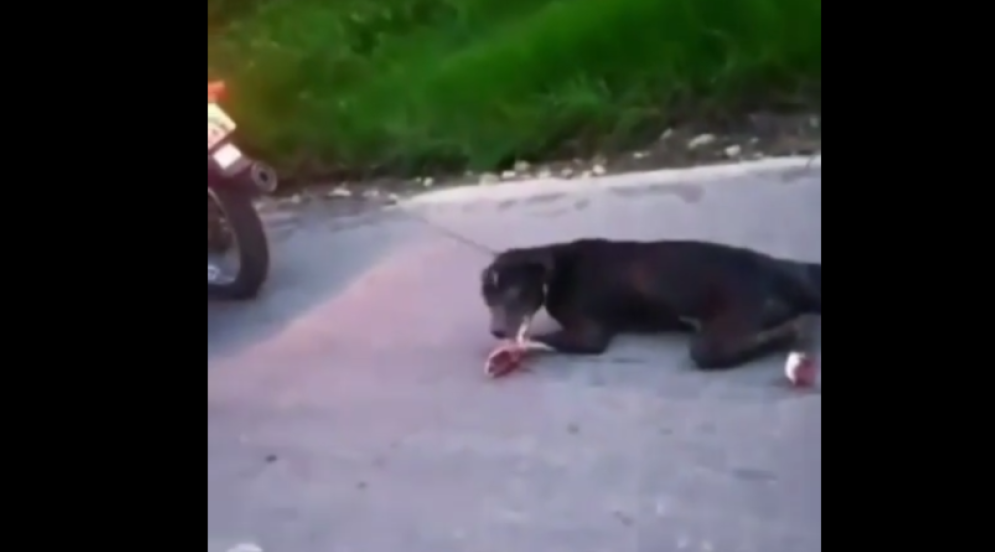 Idoso é preso por arrastar cachorro em motocicleta no interior do Ceará