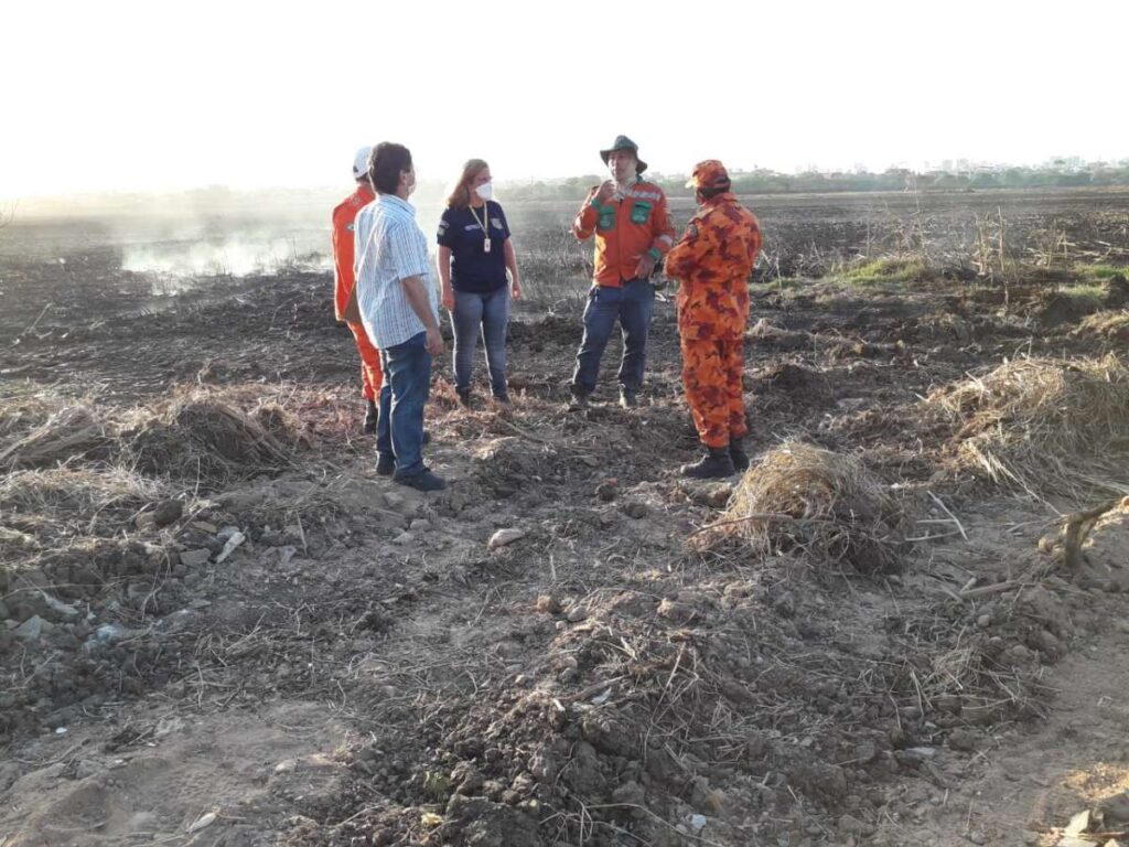 Incêndio no Cocó: laudo indica que a causa se deu por ação humana involuntária