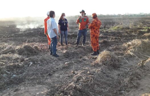 Incêndio no Cocó: laudo indica que a causa se deu por ação humana involuntária
