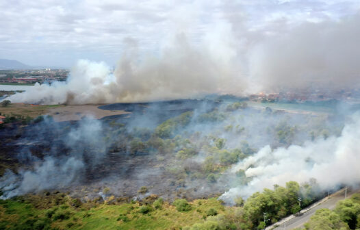 Incêndio no Parque do Cocó: saiba os riscos de inalar fumaça
