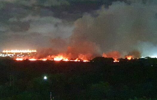 Corpo de Bombeiros confirma que incêndio no Parque do Cocó foi criminoso
