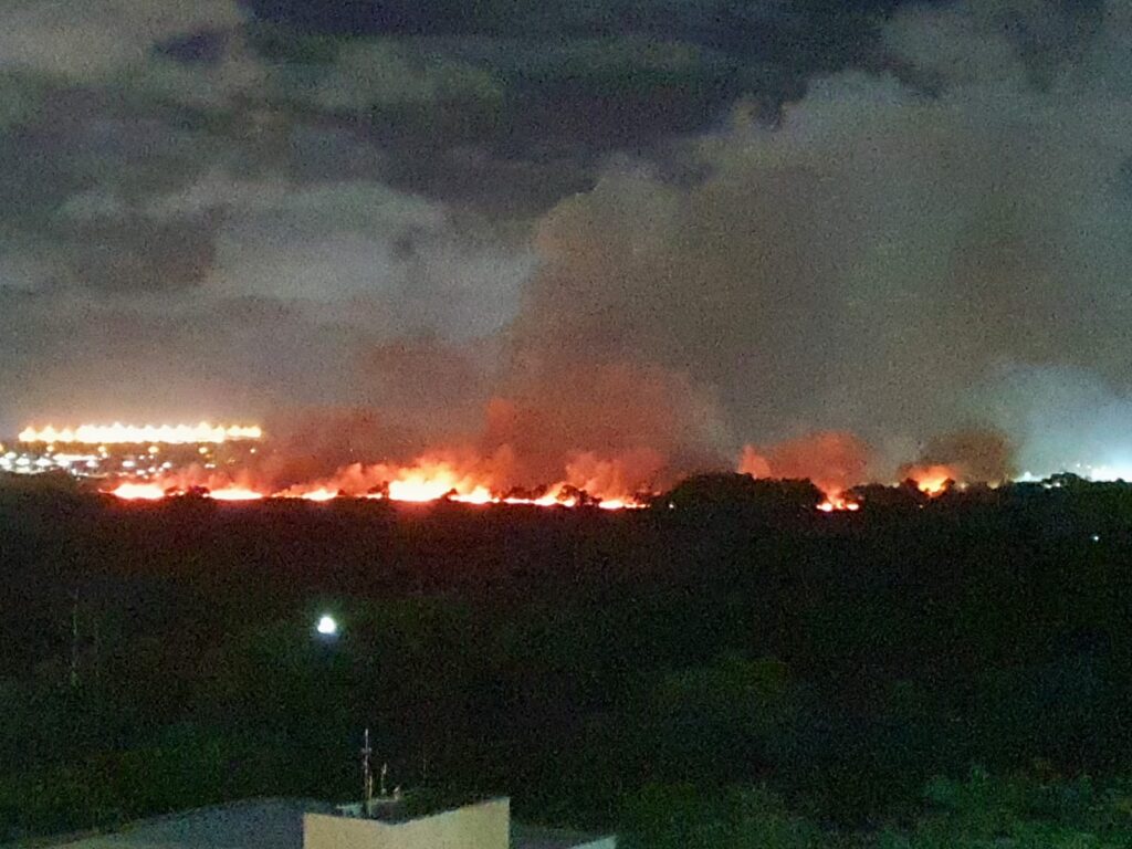 Incêndio atinge margem do Rio Cocó e chamas se espalham por bairros de Fortaleza